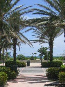 Hawaii Hotel Miami Beach Kültér fotó